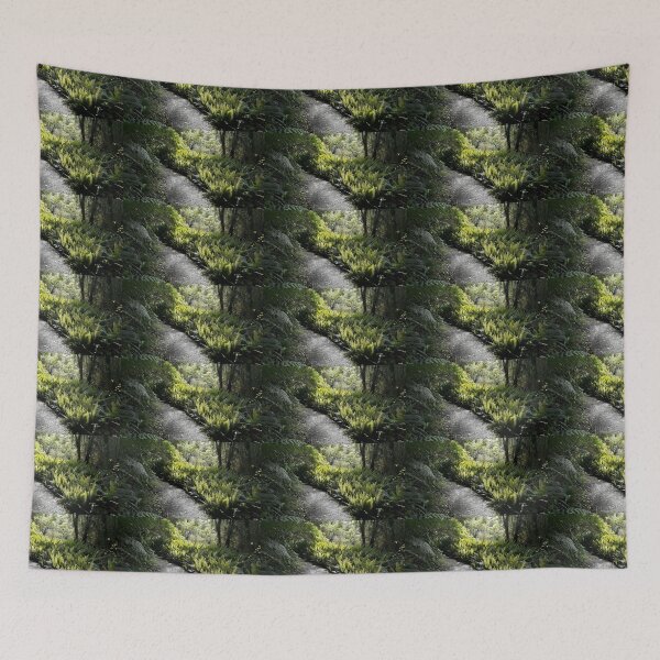 Item preview, Verdant Ferns  designed and sold by coffeebean.