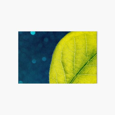 Leaf you for a long time Art Board Print