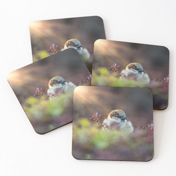 Item preview, Sunlight Bathing Finch designed and sold by mljdwhite.