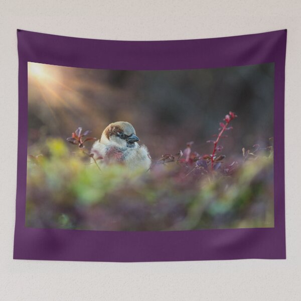 Item preview, Sunlight Bathing Finch designed and sold by mljdwhite.