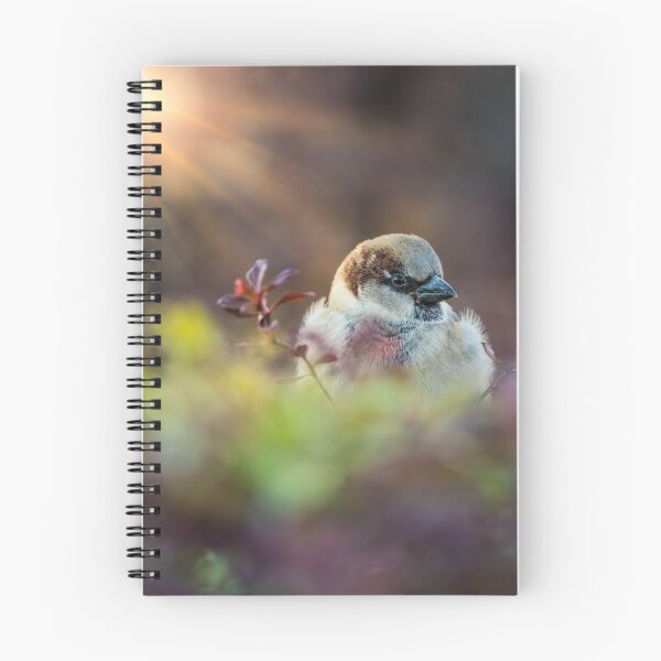 Item preview, Sunlight Bathing Finch designed and sold by mljdwhite.