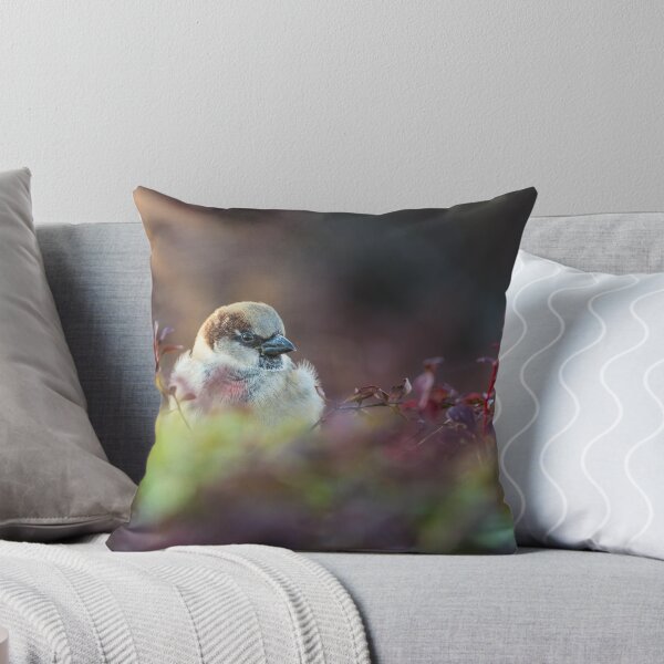 Item preview, Sunlight Bathing Finch designed and sold by mljdwhite.