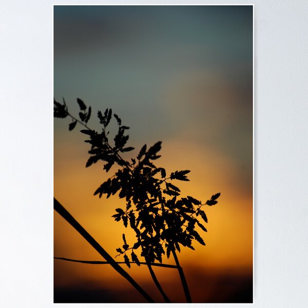 Item preview, Perfect Lines designed and sold by L Spittall.
