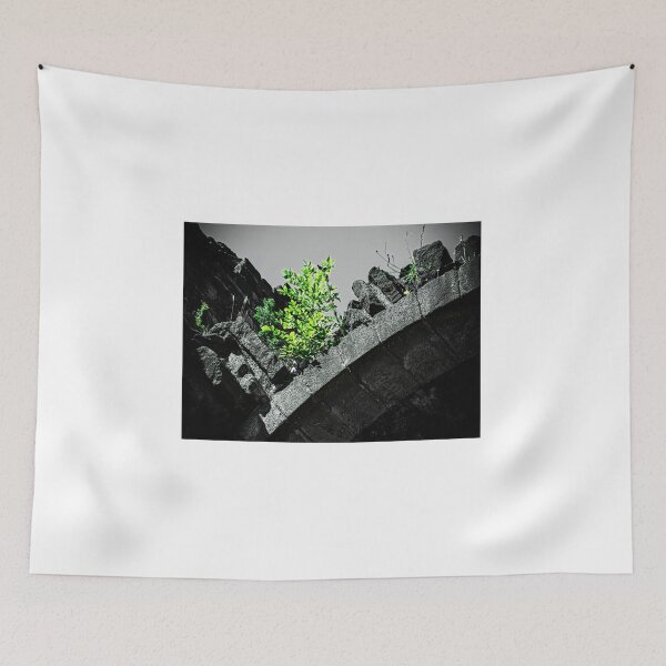 Item preview, A lone shrub growing out of a ruin. designed and sold by Colin Metcalf.