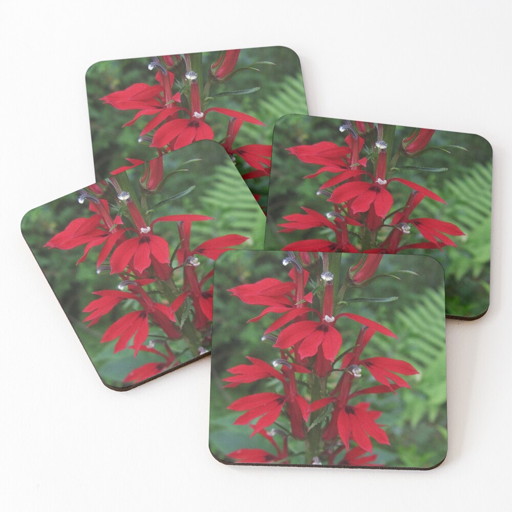 Item preview, Coasters (Set of 4) designed and sold by RVogler.