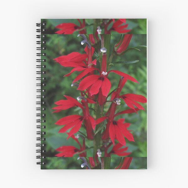 Item preview, Cardinal Red designed and sold by RVogler.