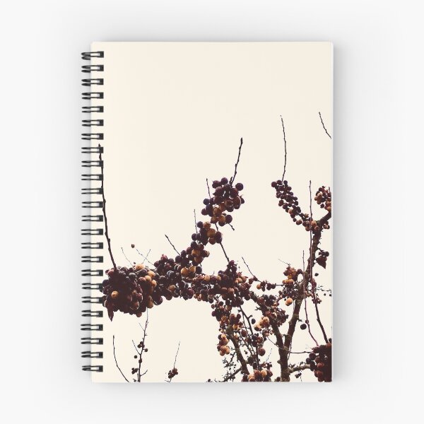 Item preview, decayed winter cherries designed and sold by Mandi Collingridge.