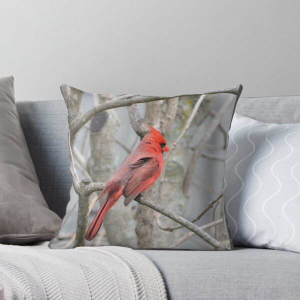 Item preview, Cardinal in Early Spring designed and sold by Kathleen Brant.