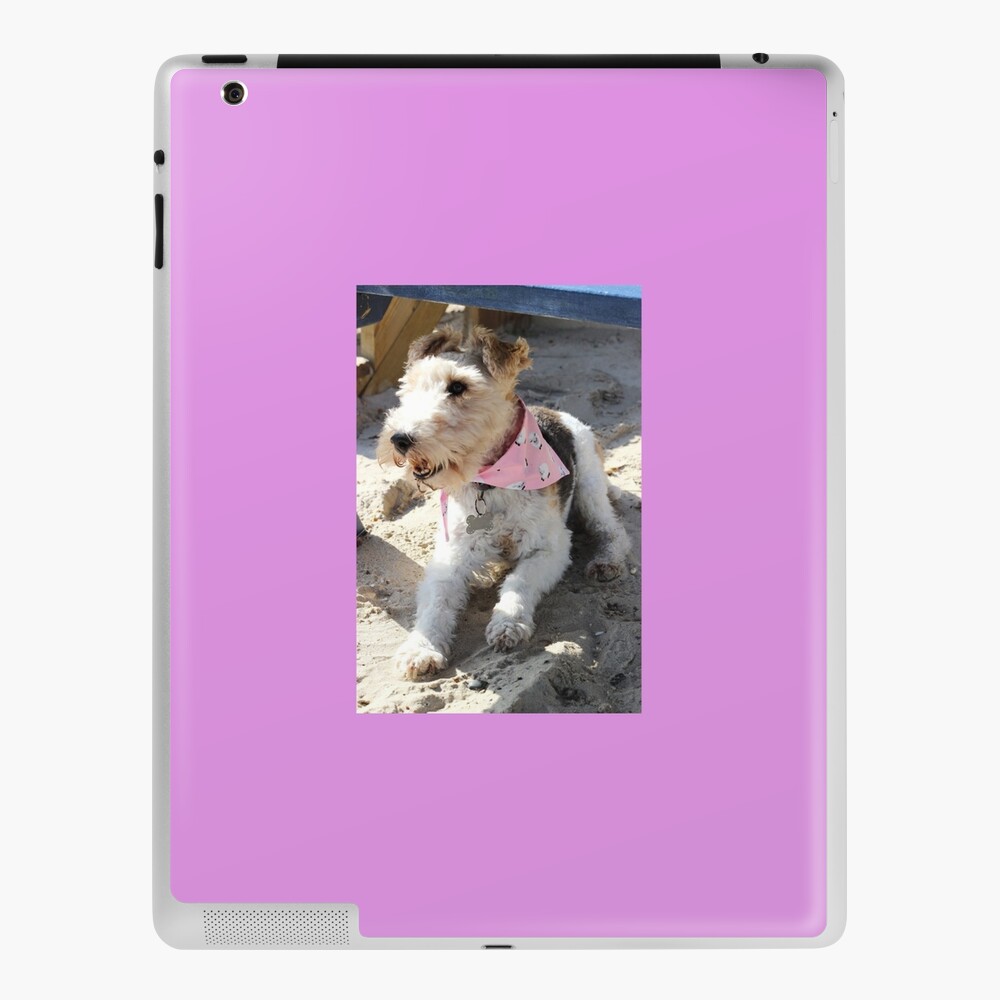 birthday presents for animal lovers