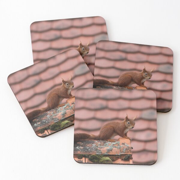 Item preview, Squeek  designed and sold by AK-Hevonen.