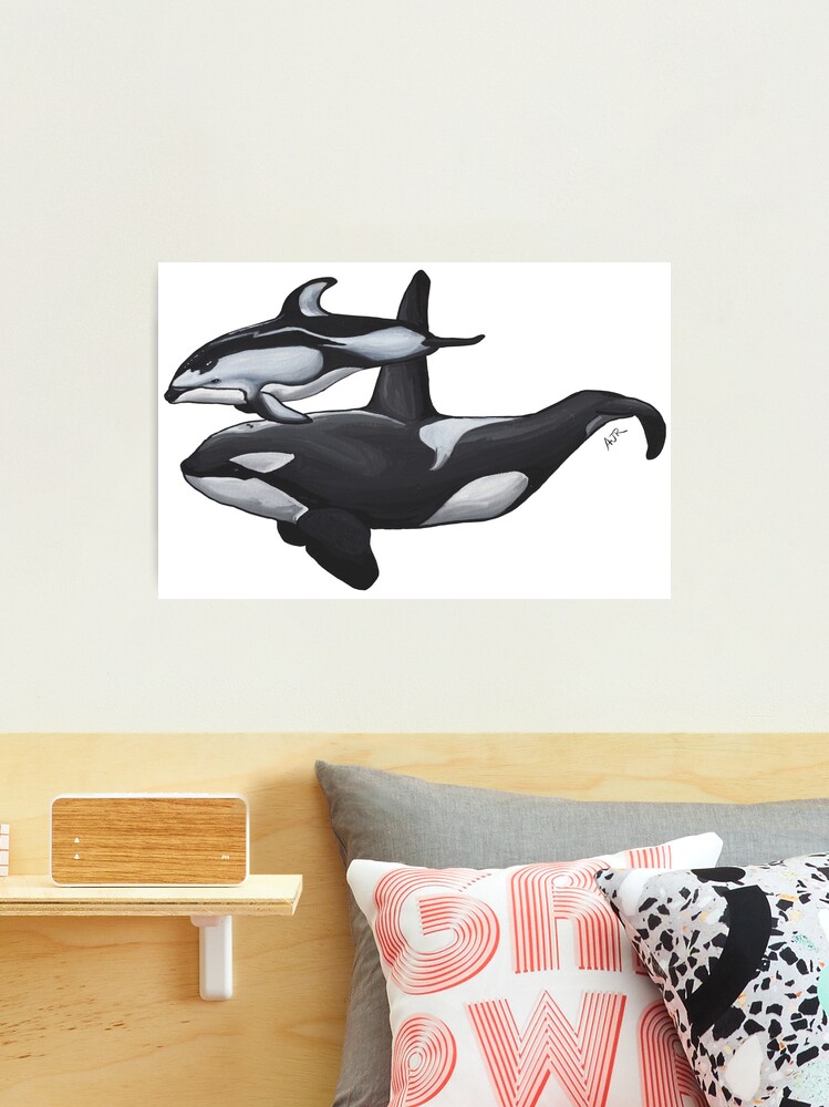 Orca and Pacific White Sided Dolphin Pals