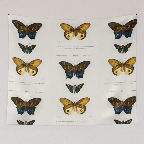 Item preview,  Butterfly and moth species vintage illustration  designed and sold by Vintage Designs +.