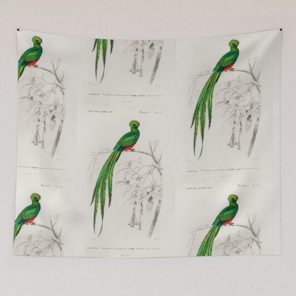 Aperçu de l'œuvre Exotic bird of paradise vintage illustration créée et vendue par Vintage Designs +.