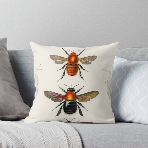 Item preview, Beetle bug vintage illustration designed and sold by Vintage Designs +.
