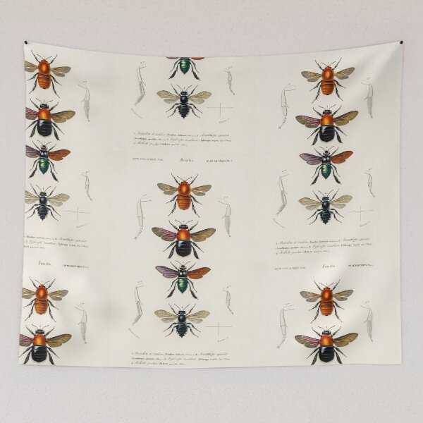 Item preview, Beetle bug vintage illustration  designed and sold by Vintage Designs +.