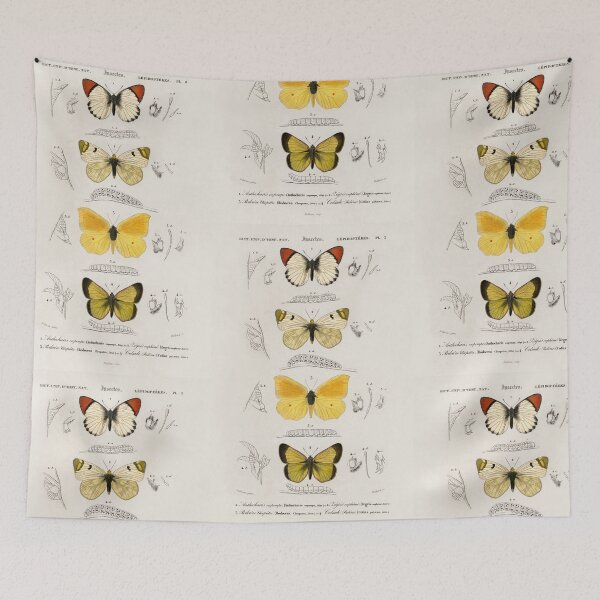 Artikelvorschau, Butterfly and moth species vintage illustration entworfen und verkauft von Vintage Designs +.