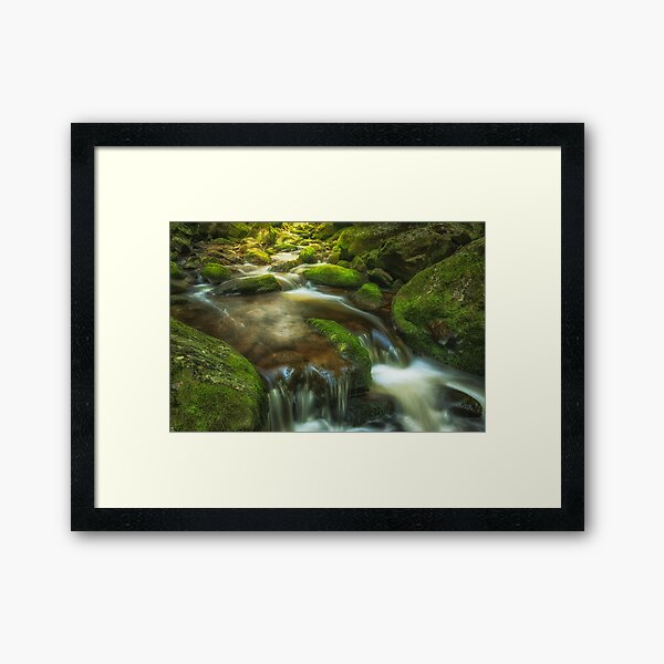 Item preview, Fresh brook in the green forest designed and sold by PhotoLux.
