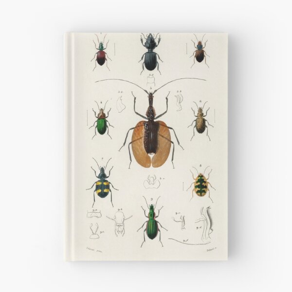 Item preview, Beetle bug vintage illustration  designed and sold by Vintage Designs +.