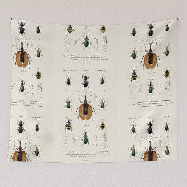 Item preview, Beetle bug vintage illustration  designed and sold by Vintage Designs +.