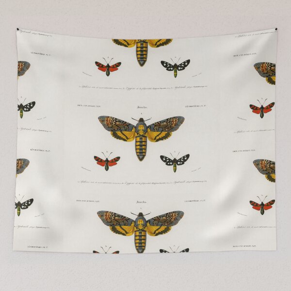 Artikelvorschau, Butterfly and moth species vintage illustration entworfen und verkauft von Vintage Designs +.
