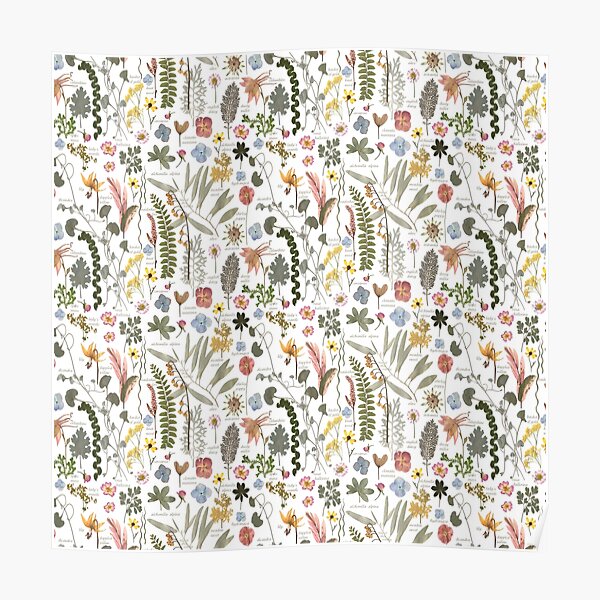 Botanical Sketchbook Pressed Flower Garden Poster