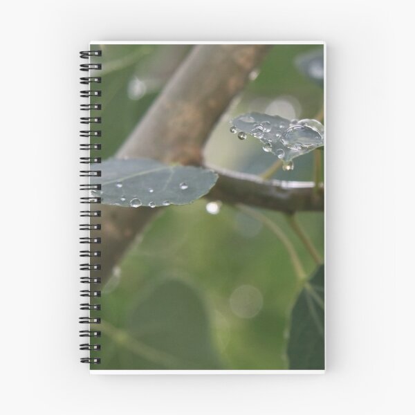 Item preview, Summer Rain designed and sold by BarbaraWilliams.