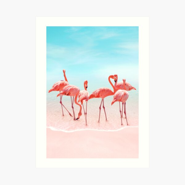 Aruba Art Print