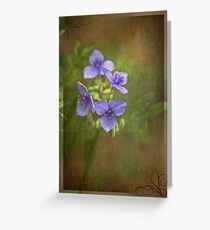 Beauty and Fun Greeting Card