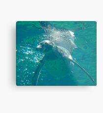 Penguin Blues Metal Print
