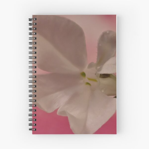 Item preview, Lobelia Macro Wonder  designed and sold by Sandra Foster.