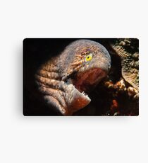 Nightmare Canvas Print