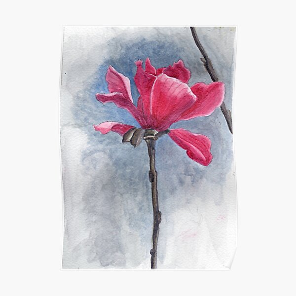Magnolia "Vulcan" Poster