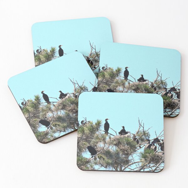 Item preview, Cormorants And A Heron designed and sold by LisaWootenPhoto.