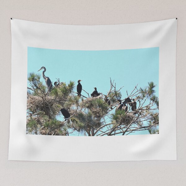 Item preview, Cormorants And A Heron designed and sold by LisaWootenPhoto.