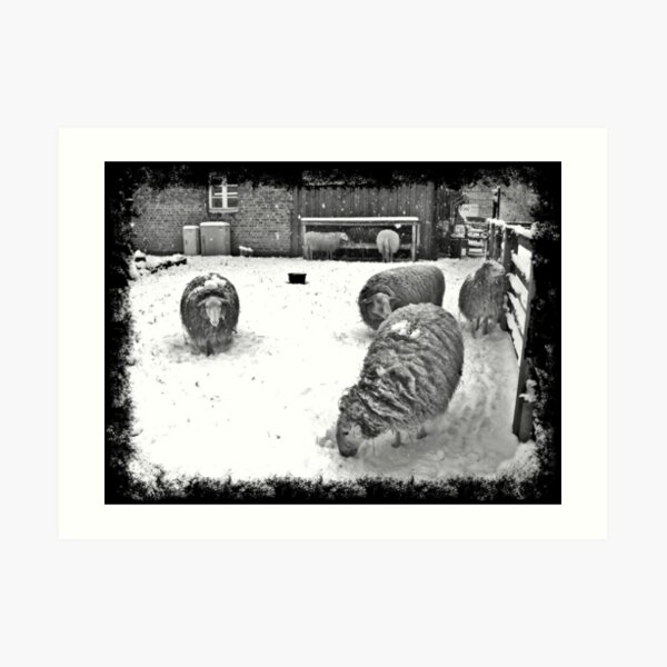 Art Print