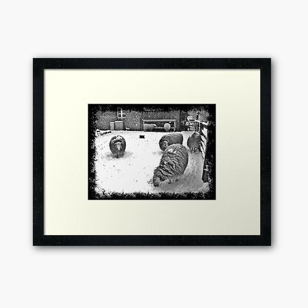 Framed Print