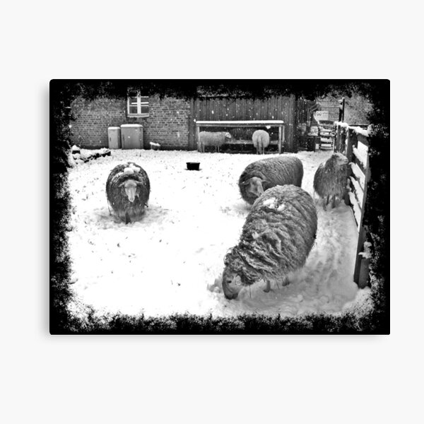 Canvas Print