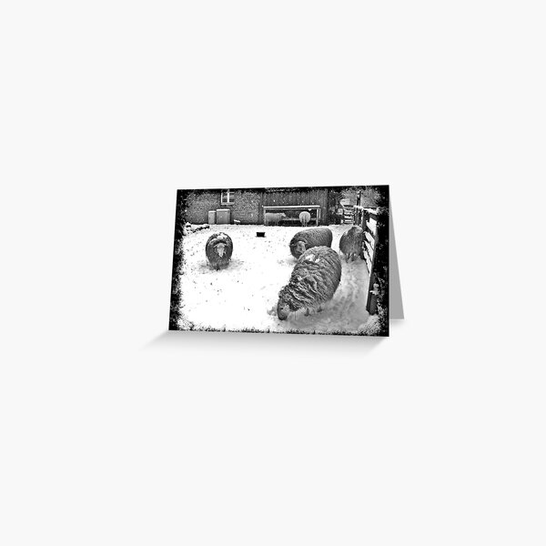 Greeting Card