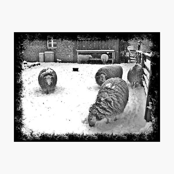 Photographic Print