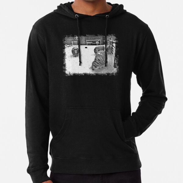Lightweight Hoodie
