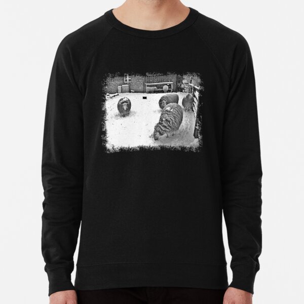 Lightweight Sweatshirt