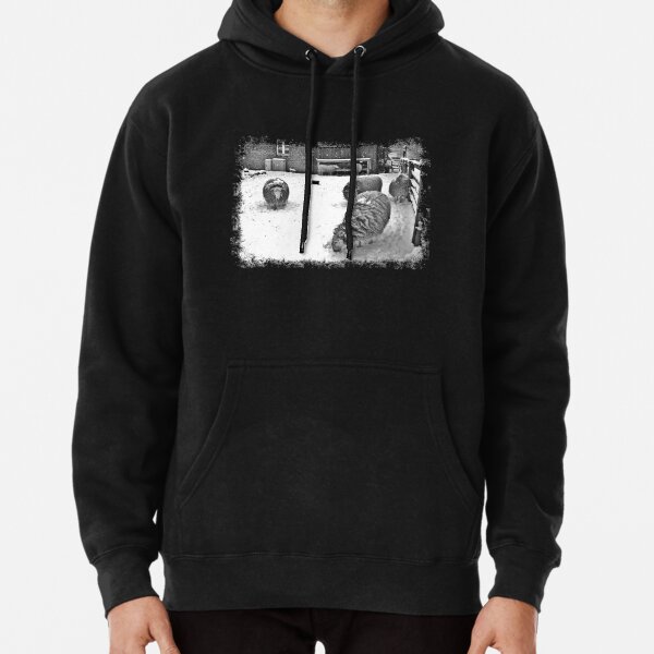 Hoodie (Pullover)