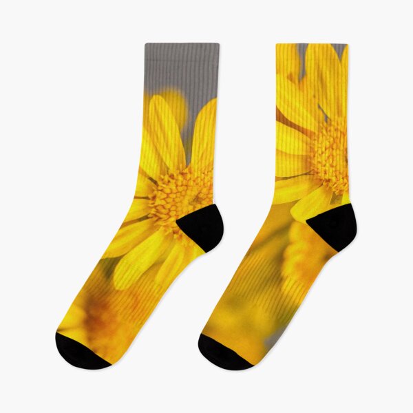 Item preview, Desert Marigolds designed and sold by srgreen.