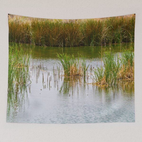Item preview, San Solomon Cienaga designed and sold by srgreen.