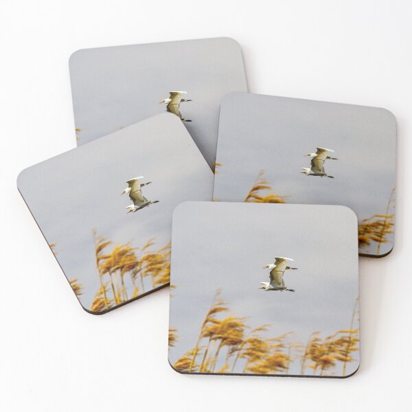 Item preview, Cattle Egrets in Flight designed and sold by srgreen.
