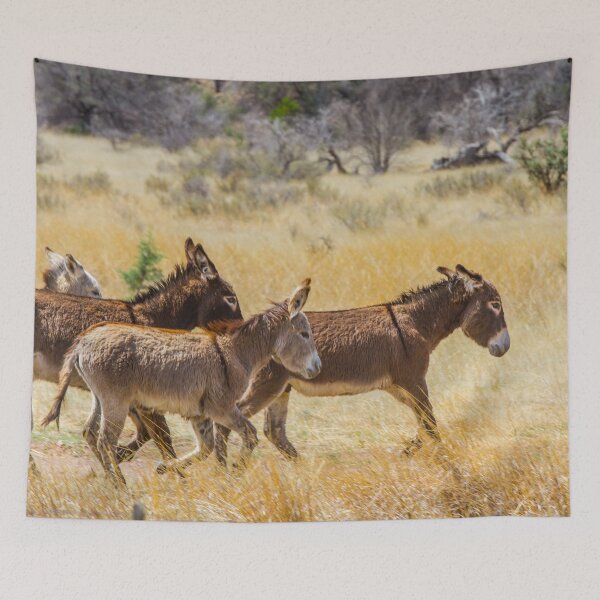 Item preview, Runaway Donkeys designed and sold by srgreen.