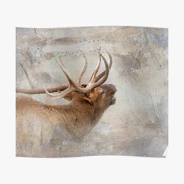 Sweet Music, Bugling Elk Poster