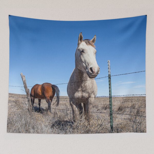 Item preview, Curious Horse Along Fence designed and sold by srgreen.