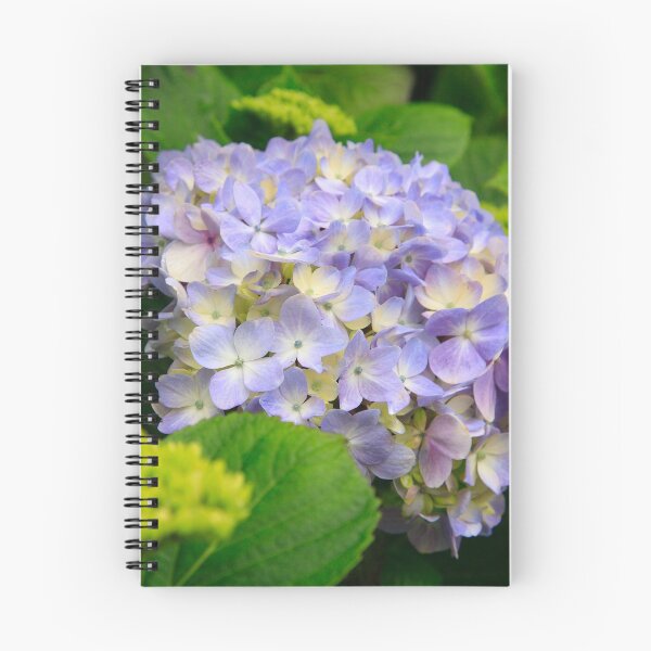 Artikelvorschau, Hydrangea blooming entworfen und verkauft von Gaspar Avila.