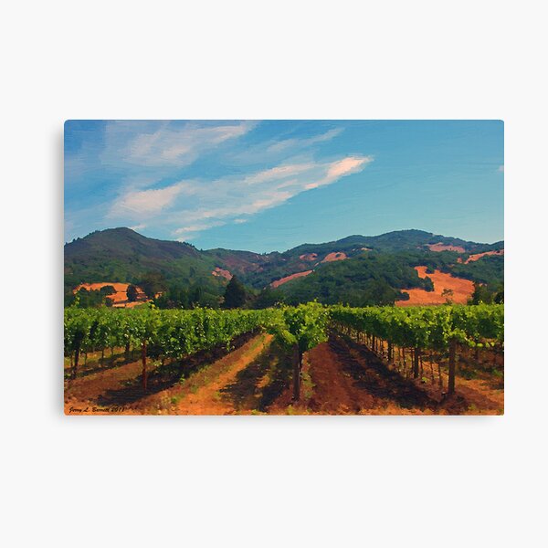 California Vineyard Canvas Print